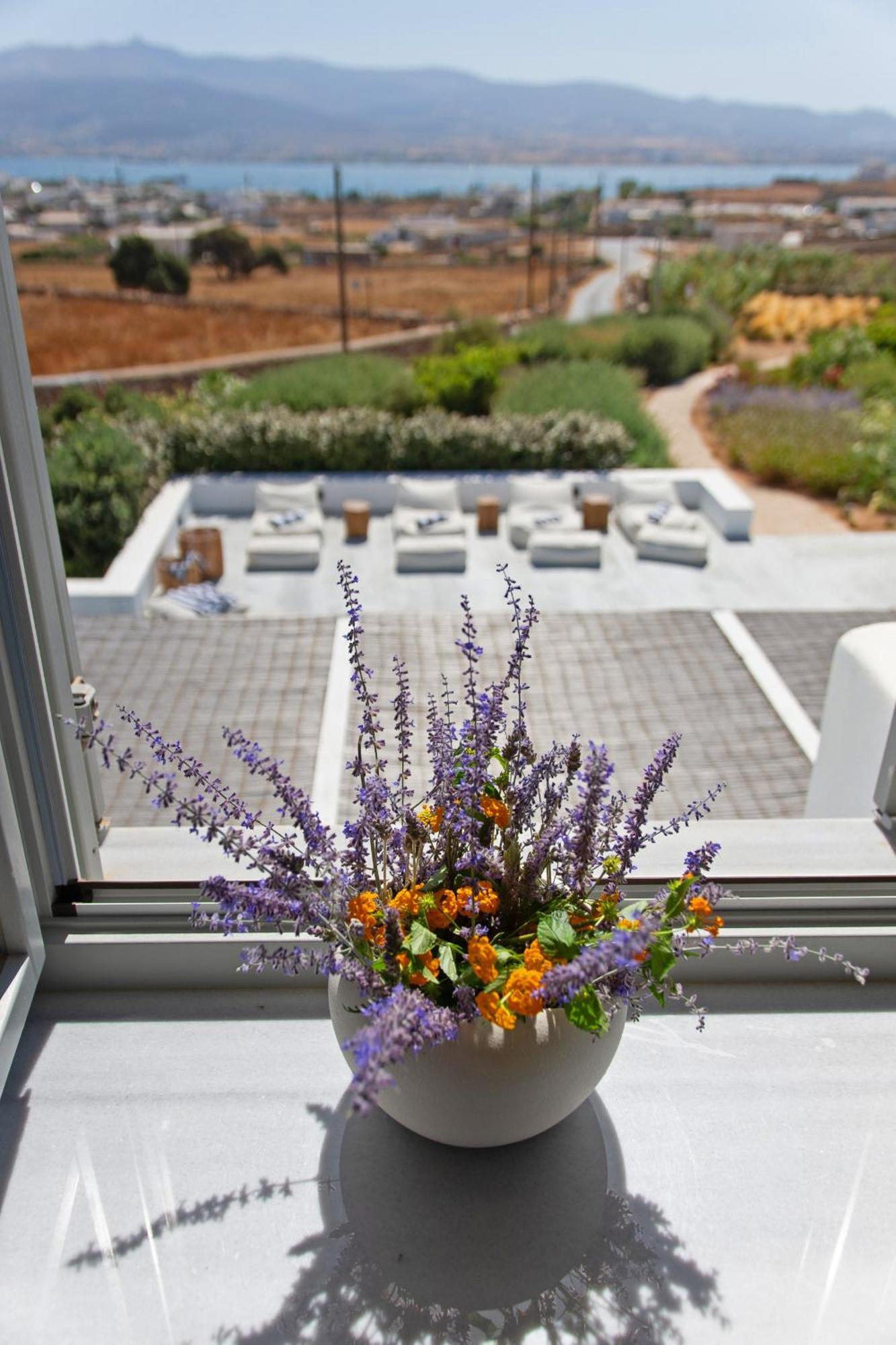 Dreamy 5 Bdr Antiparos Pool Villa Exteriér fotografie